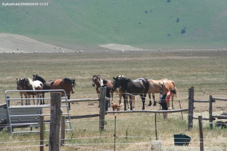 2019Castelluccio0126.jpg