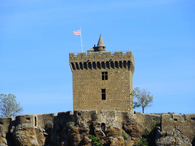 Francia%20-%20settembre%202023%20(Noirmoutier)%201248(1).JPG