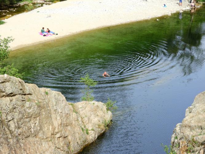 Francia%20-%20settembre%202023%20(Noirmoutier)%201480(1).JPG