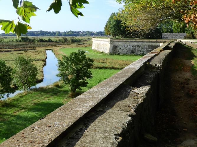 Francia%20-%20settembre%202023%20(Noirmoutier)%20476(1).JPG