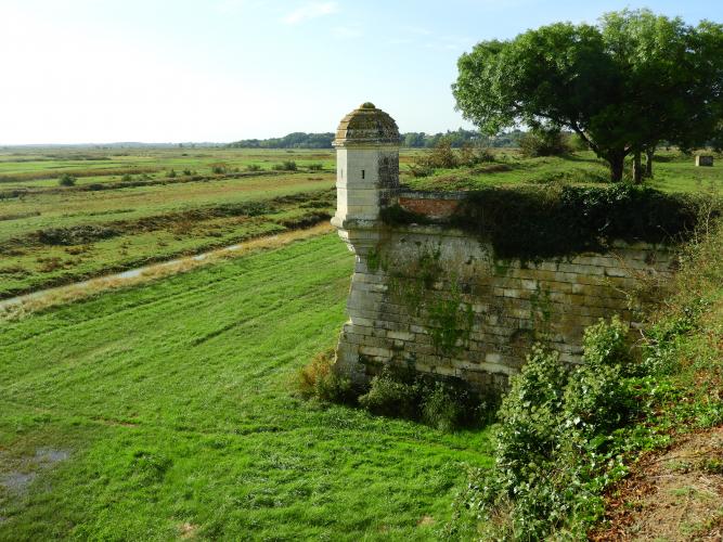 Francia%20-%20settembre%202023%20(Noirmoutier)%20481(1).JPG