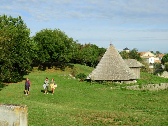 Francia%20-%20settembre%202023%20(Noirmoutier)%20486.JPG