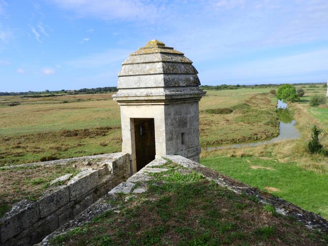 Francia%20-%20settembre%202023%20(Noirmoutier)%20488(1).JPG