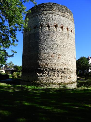 Francia%20-%20settembre%202023%20(Noirmoutier)%20703(1).JPG