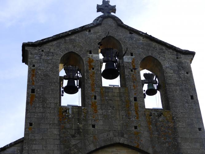 Francia%20-%20settembre%202023%20(Noirmoutier)%20884(1).JPG