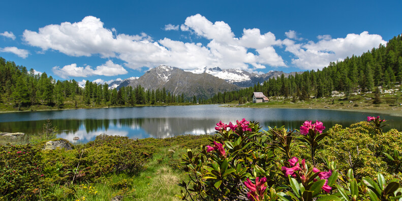 val-rendena---caderzone-terme---lago-di-san-giuliano_37809.jpg