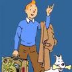 tintin61