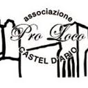 logo_prolocoCasteldArio